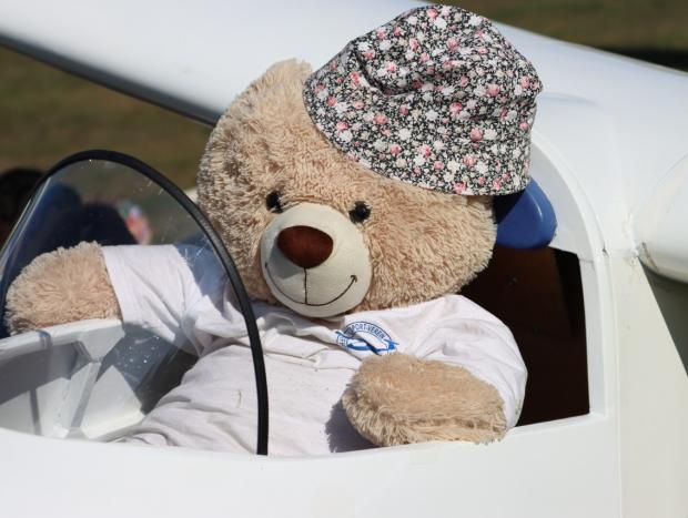 Teddy war auch dabei Teddy war auch dabei