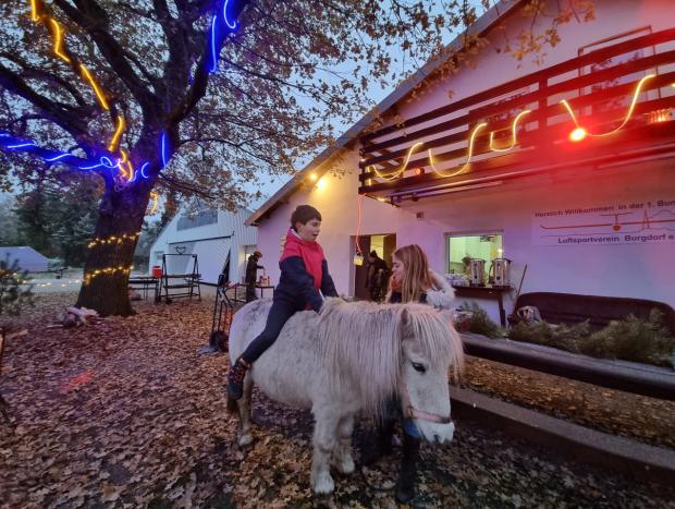 Ein Pony war auch anwesend Ein Pony war auch anwesend